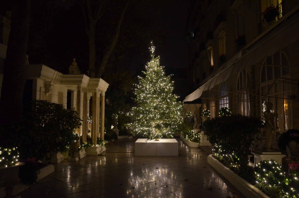 Sapin de Noël décoré dans un showroom